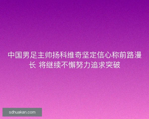 中国男足主帅扬科维奇坚定信心称前路漫长 将继续不懈努力追求突破