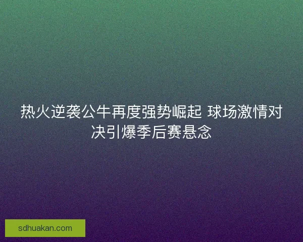 热火逆袭公牛再度强势崛起 球场激情对决引爆季后赛悬念